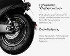 Segway - E150S