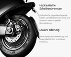 Segway - E250S