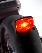 ePowerFun - ePF-2 PRO 490 | 612 | 816 | 653 W (Wechselakku)