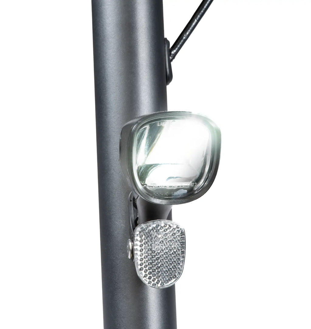 ePowerFun - ePF-2 PRO 490 | 612 | 816 | 653 W (Wechselakku)