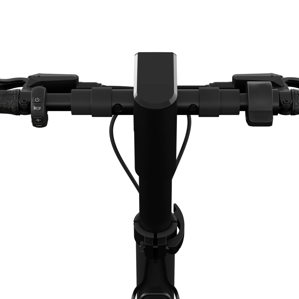 Egret - Pro FX - escoomo